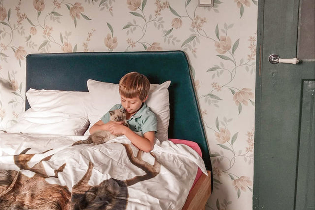 Idealne łóżko dla przedszkolaka – jak wybrać?